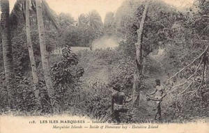 Polynésie - Iles Marquises - Intérieur de la Baie de HANAVAVE, Ile de Hatuhiva - Picture 1 of 2