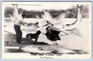 1940-50's TOOELE UTAH EXAGGERATED HUGE FISH FANTASY COLES STUDIO PHOTO POSTCARD - Picture 1 of 2