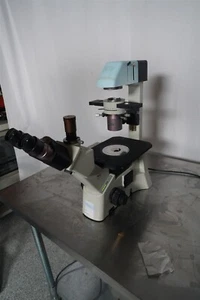 Motic AE31 Inverted Phase Contrast Microscope W 4X, PH 10X, PH 40X Objectives - Picture 1 of 24