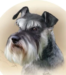 CUSTOM DECOR SCHNAUZER ROUND 6 INCH DIAMETER MAGNET FREE SHIPPING - Picture 1 of 1