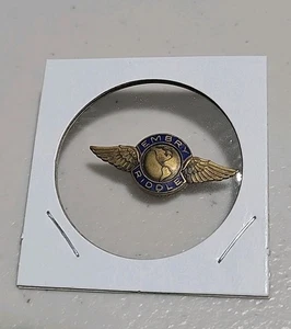 VEGAS EMBRY RIDDLE AERONAUTICAL FLIGHT SCHOOL WINGS PIN BADGE DIEGO & CLUSTER NY - Picture 1 of 2