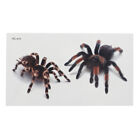 3D Spider Tatoo Scorpion Temporary Tattoo Stickers For Halloween Trickyl_Hgm'yz