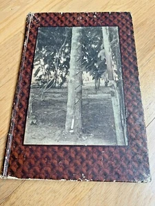 1913 A PIONEER IN RUBBER, A Brief History of DANIEL HODGMAN - Goodyear - Picture 1 of 12