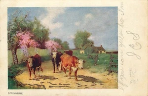 Postal Ganado Vacas Village 1907 Piedra de Mica Embellecida Indivisa - Imagen 1 de 2