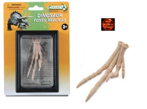 Velociraptor Dinosaurier Fuß Nachbau Modell in Vitrine von CollectA 89285 Neu - Bild 1 von 1