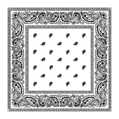 Lot Of 12 Wholesale Paisley Print Bandana 100% Cotton Head Warp Scarf Face Mask - Image 1 of 4