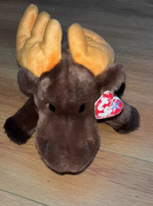 TY Tiny Babies Chocolate the Moose original retired with tags - Picture 1 of 4