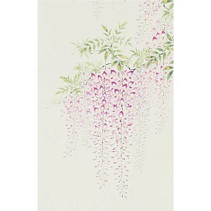 Kakejiku (japanische Hängerolle) Glyzinie / Fuji no hana - mit Holzbox - Bild 1 von 4