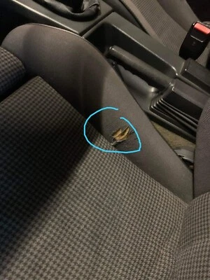 Tela de tapicería de coche BMW M Rain Premium - Sin espuma - 59" - 150 cm - Coche, asiento, puerta Foto 1 de 4