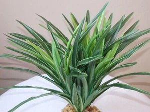 8" Large DARK Green-Striped DRAGON Dracaena, Very soft silk Plant, Stone Base - Picture 1 of 6