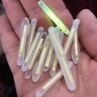 Boost Your Fishing Performance with 50pcs Fireflies Float Light Sticks