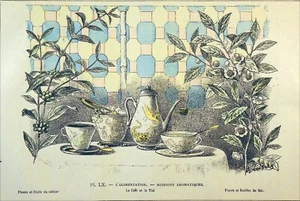 AROMATISCHE GETRÄNKE - KAFFEE & TEE - Brett aus dem 19. Jahrhundert - Bild 1 von 2