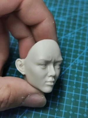 DIY 1:6th SEEK WOLF Warrior Wolverine Yukio Head Sculpt Fit 12in Female Body Toy - image 1 of 3