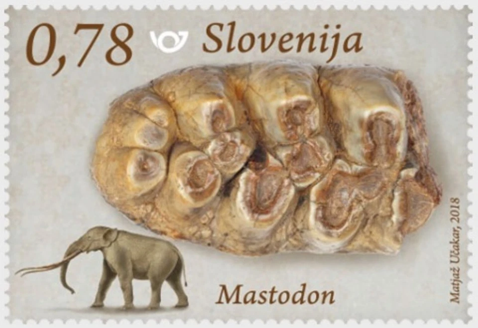 Slovenia 2018 ☀  Fossil Mammals in Slovenia - Mastodon 1v ☀ MNH** - Image 1 of 1