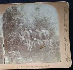 Where Shall We Three Meet Again (Donkey's Waiting for Rider), c1890 Stereoview - Imagen 1 de 3