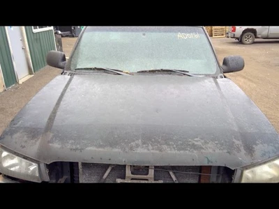 Hood Without Body Cladding Fits 03-06 AVALANCHE 1500 1070218 Foto 1 de 4