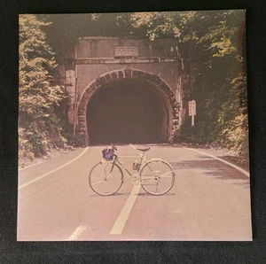 The Backseat Lovers When We Were Friends Galaxy Record Vinyl LP New Sealed - Picture 1 of 2