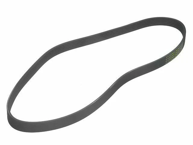 ContiTech Multi Rib Belt fits BMW 740i 2017-2019 99XBRW - Image 1 of 1