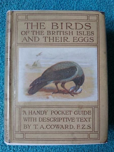 Wayside & Woodland Birds, Series 1, RARE photocopied DJ, DW of Hooded Crow 1920 - Bild 1 von 21