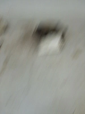 Coolant Pump Excluding GS Hatchback 1.6L Fits 86-95 MAZDA 323 976142 - Image 1 of 2