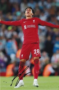 Football - Fabio Carvalho - Hand Signed 12x8 Inch Photograph - Liverpool - COA - Picture 1 of 1