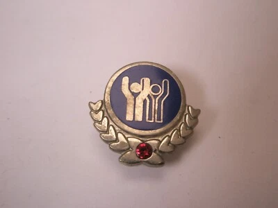 Nikken International Red Stone Logo Vintage Lapel Pin u36 - Image 1 of 4