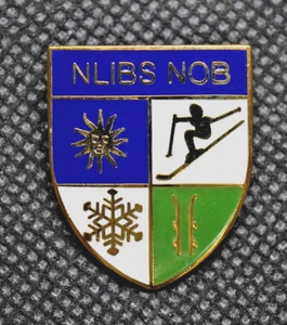 Nubs Nob Ski Resort Michigan Snowflake Blue Green Ski Pin - Picture 1 of 3