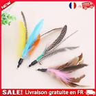 5Pcs Cat Wand Colorful Feather Funny Cat Stick Portable Fashion Pet Cat Supplies
