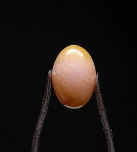 Conch Pearl ," Weight: 5,10 carats - Imagen 1 de 8