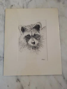 Artist Signed Raccoon Portrait Etched Print Matted Sealed Ready to Frame - Picture 1 of 5