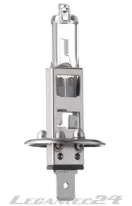 2er Set Glühlampe 12V 55W P14,5s H1 Premium+50 Glühbirne Lampe 12Volt 55Watt neu - Picture 1 of 1