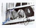 The Witches Of Eastwick Susan Sarandon Michelle Pfeiffer And Cher   Signed