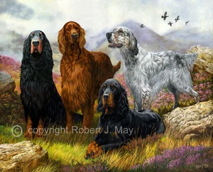 Limited Edition Setter Print by Robert J. May - Picture 1 of 1
