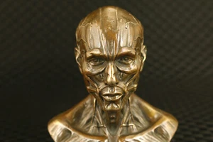 Rare collectable bronze cool skull man statue figure table home decoration - Picture 1 of 7
