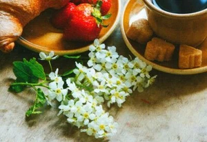 Rompecabezas CAFÉ Y CROISSAN Fresa Cocina 200 Piezas SIN CAJA NUEVO - Imagen 1 de 2
