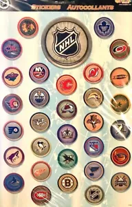 **RARE** SUPER Maxi NHL HOCKEY Sandylion Stickers 1 sheet ~NEW IN PACKAGE~ - Picture 1 of 1