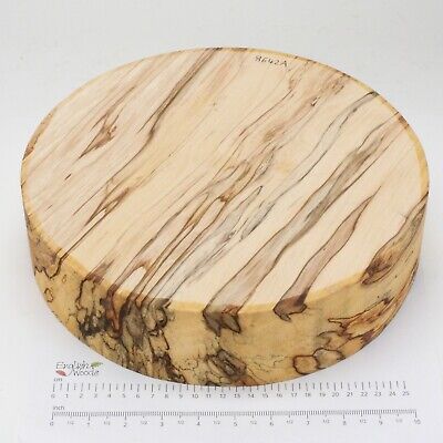 English Spalted Beech Woodturning Or Wood Carving Bowl Blank.  305 X 76mm. 8642A • 3.53€