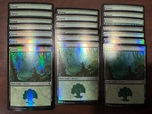 Menge 20x Random FOIL Wälder Neu Nur Rahmen - Basic Lands - MTG Magic NM-LP - Bild 1 von 1
