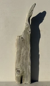 Beautiful 21" Driftwood Terrarium Aquascape Floral Decor Arts Crafts Reptile - Picture 1 of 15