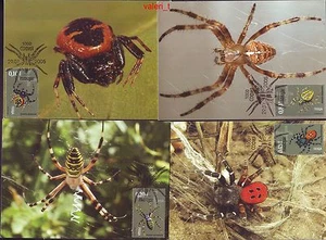 Bulgarien Insektenspinnen 2005 4 x Maxikarte - Bild 1 von 5