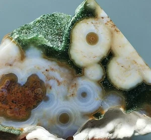 Collection ! Round Eye 8th Vein Ocean Jasper Agate Quartz Druzy Slab Reiki Stone - Picture 1 of 10