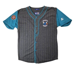 Camiseta deportiva de béisbol a rayas Charlotte Hornets vintage de los 90 para hombre grande L - Imagen 1 de 8