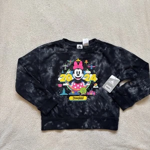 Walt Disney World 2024 Minnie Mouse Sweatshirt-Vibrant colors Disneyland - Picture 1 of 10