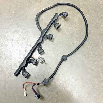 Arnés de cableado bobina de encendido BMW E46 M54 2000-2003 330i 325i 530i 525i E39 Ms43 Foto 1 de 4