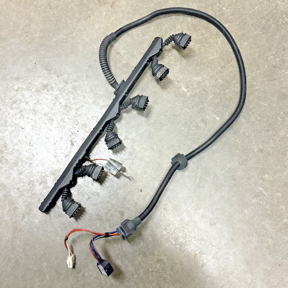 Arnés de cableado bobina de encendido BMW E46 M54 2000-2003 330i 325i 530i 525i E39 Ms43 Foto 1 de 4