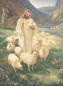 Warner Sallman JESUS DER GUTE HIRTE 8x10 Druck Jesus wandelt mit Schafen - Bild 1 von 1