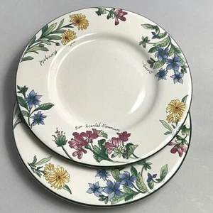 Paar Sakura Geranie Majesticware Untertasse Sue Zipkin Steinzeug Borretsch Ringelblume - Bild 1 von 8
