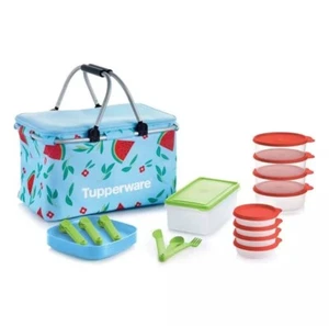 Tupperware New Host Exclusive Collection Summer Picnic Basket Set & Bowls Plates - Picture 1 of 1