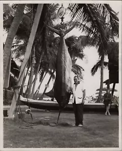 Vintage Photo Hawaii 1950s Posing with Huge Swordfish Catch, Fishing 8x10 - Picture 1 of 2