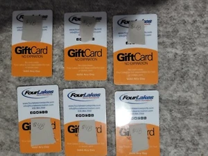 Gift Cards Four Lakes Alpine Snowsports - Picture 1 of 2